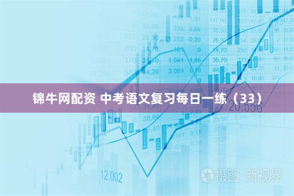 锦牛网配资 中考语文复习每日一练（33）