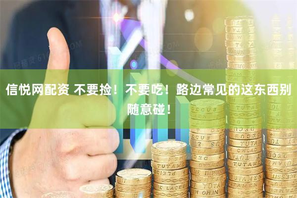 信悦网配资 不要捡！不要吃！路边常见的这东西别随意碰！
